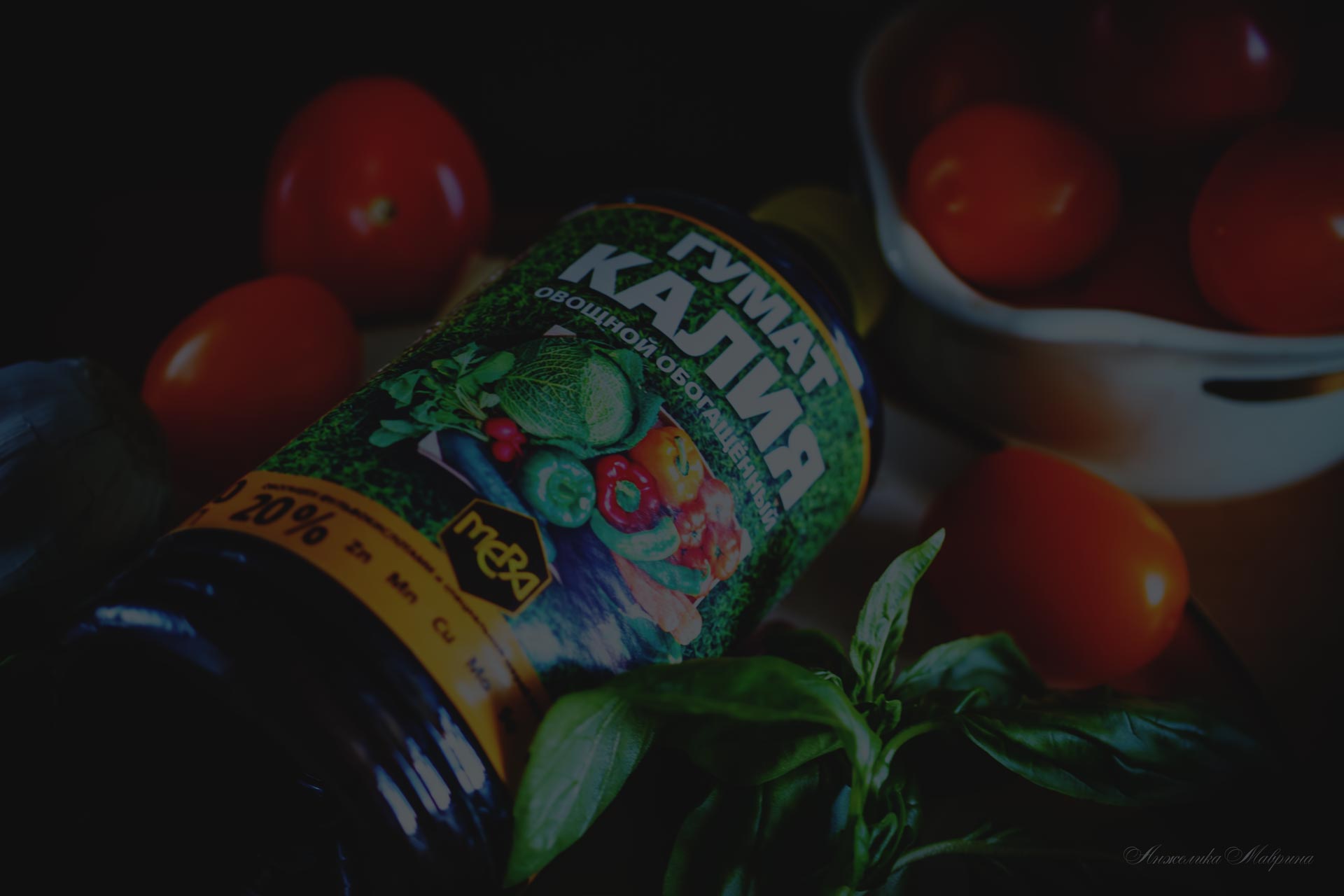 Уход за фиалками в марте: основные правила Уход за фиалками в марте: основные правила