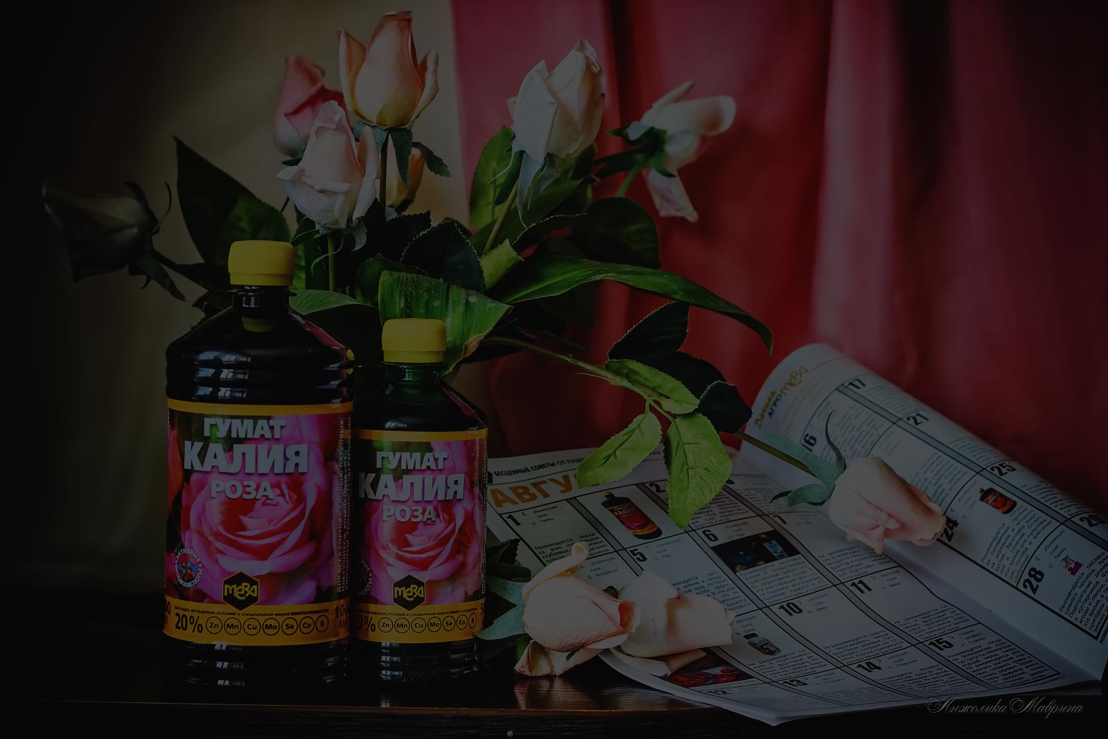 Советы по зимнему уходу за декоративно-лиственными растениями