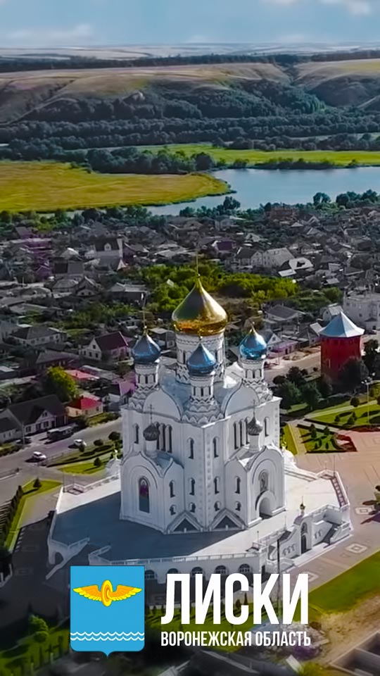 СемКом эксклюзивный поставщик МЕРА в Воронежской области СемКом эксклюзивный поставщик МЕРА в Воронежской области