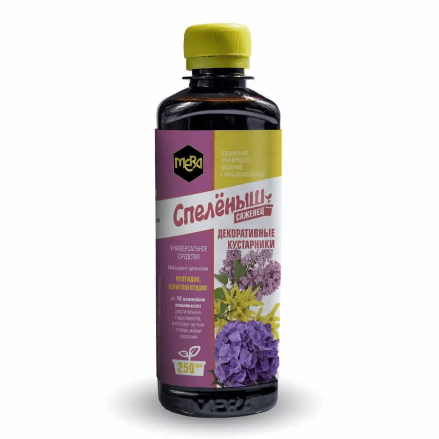 развитие листовых пластин у декоративных кустарников