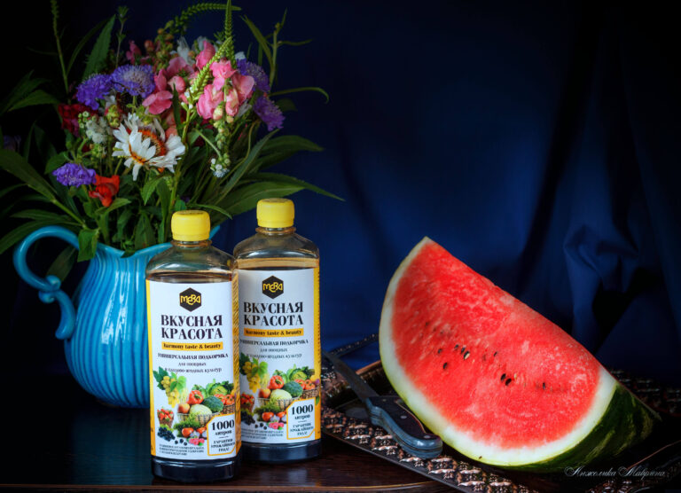 Как сохранить урожай капусты на зиму: методы и советы от опытных огородников