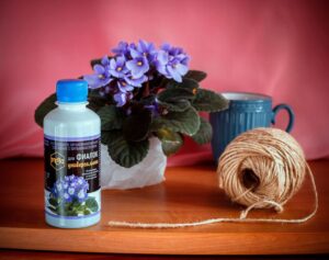 Оптимальные условия для роста и развития фиалок