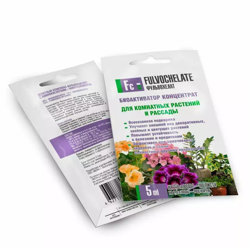 Базилик на зиму в квартире: секреты ухода и размножения